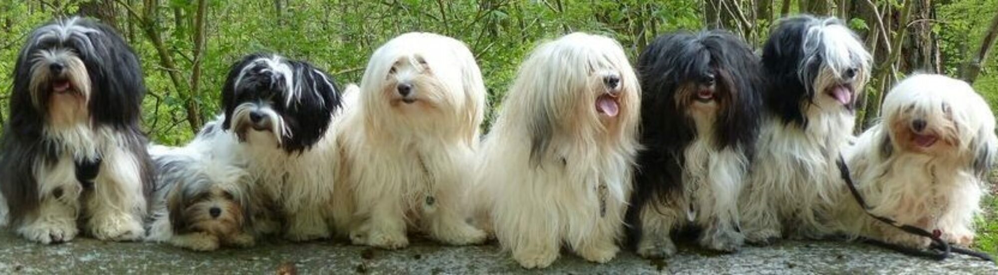 Blautaler Allerlei in Erlenmoos