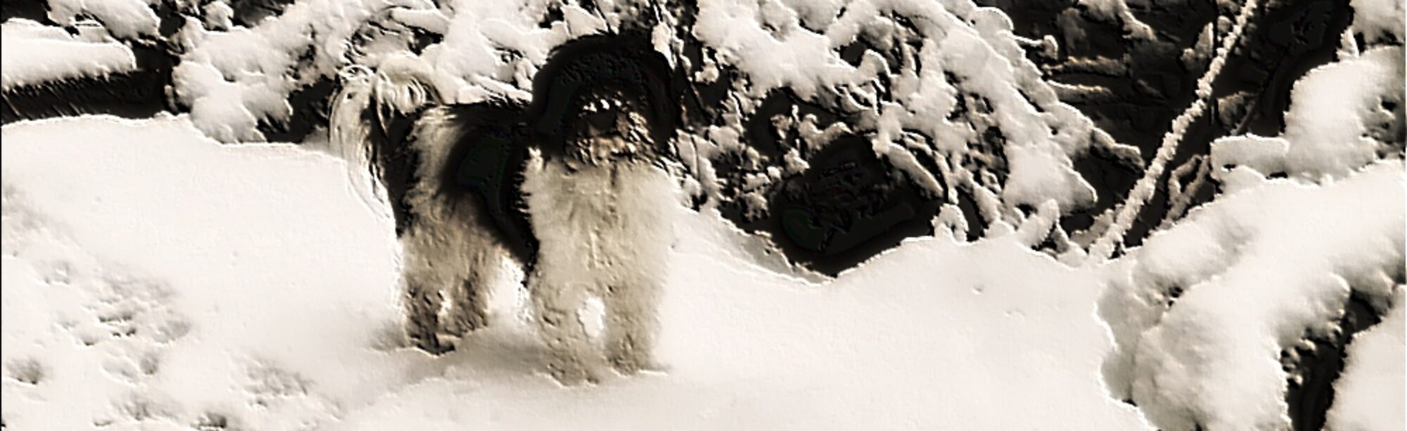 Blautaler Allerlei in Erlenmoos