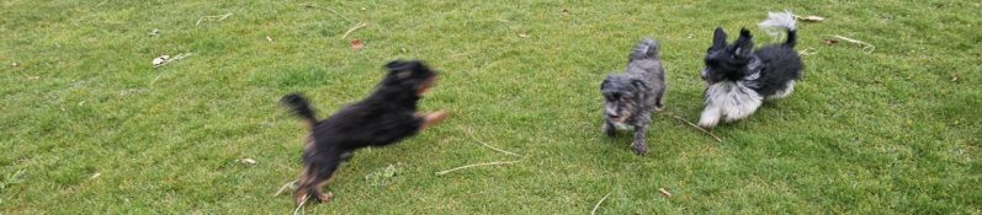 Blautaler Allerlei in Erlenmoos