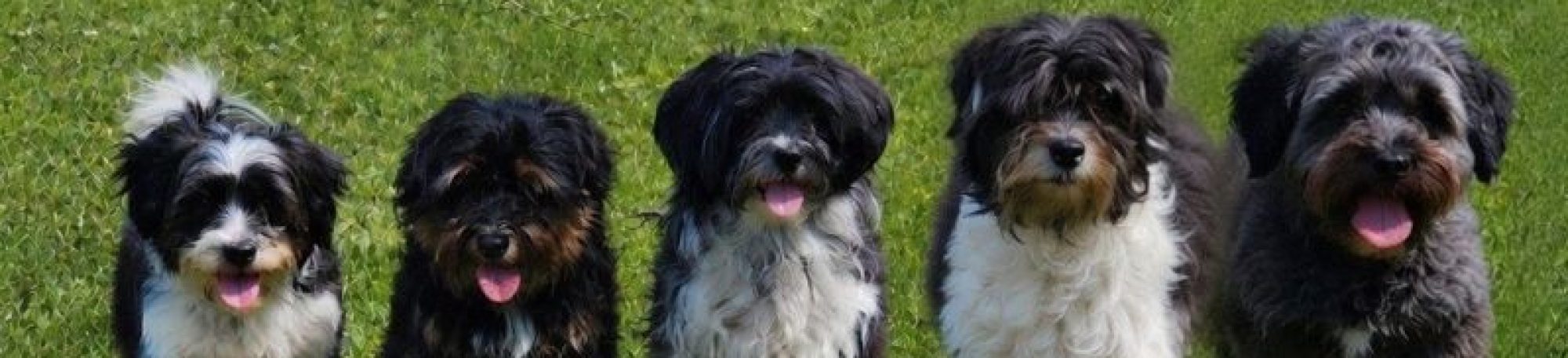 Blautaler Allerlei in Erlenmoos